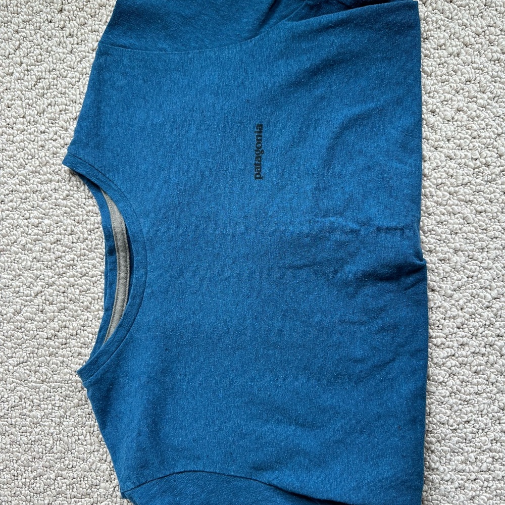 Patagonia T-shirt